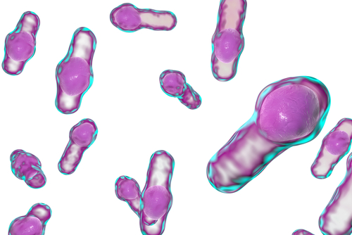 C.difficile: candidato Pfizer arriva a Fase III. Ma Sanofi è in vantaggio