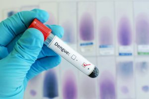 Takeda: OMS prequalifica vaccino TAK-003 contro la dengue